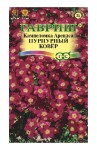 Семена, 0.01 г Камнеломка Арендса Пурпурный ковер